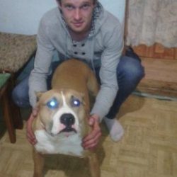 Молодой парень, студент. Ищу девушку для секса в Иванове Молодой парень, студент. Ищу девушку для секса в Иванове